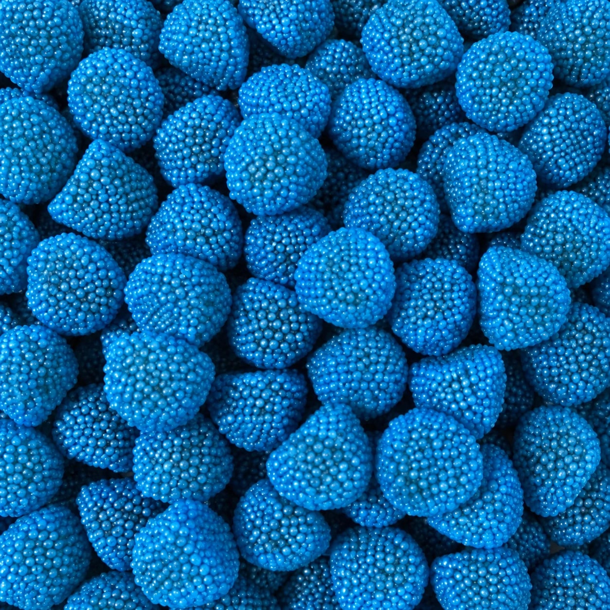 Mûres bleues gélifiées, gros plan