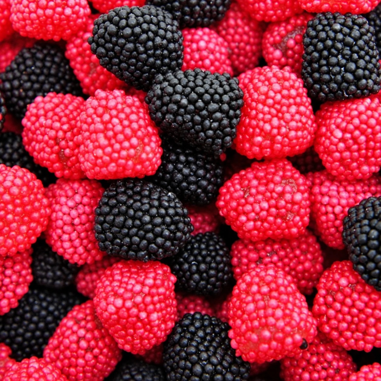Mûres rouges et noires gélifiées