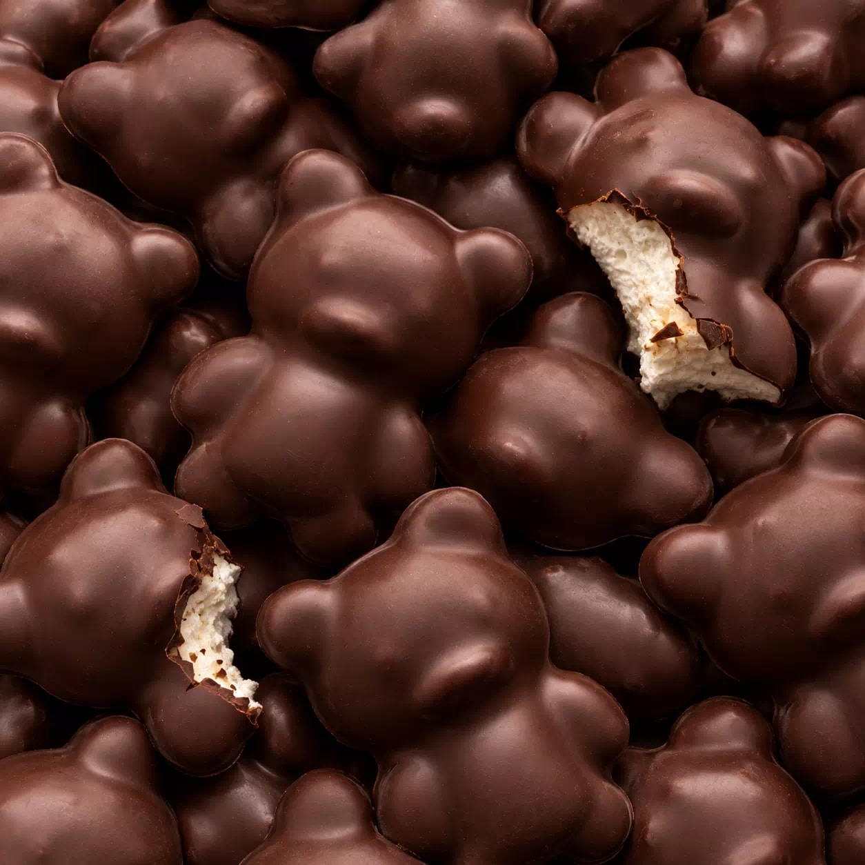 Oursons de guimauve enrobés de chocolat noir, dont un croqué
