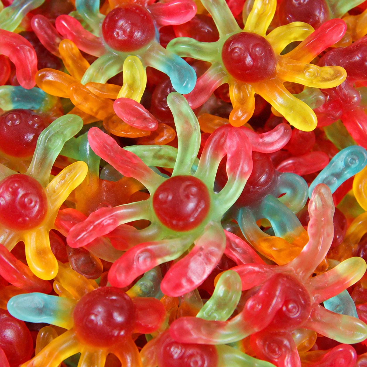 Poulpes Trolli multicolores, gros plan